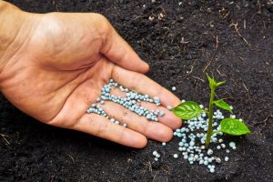 Formation et conseil agricole HMA Agrobusiness