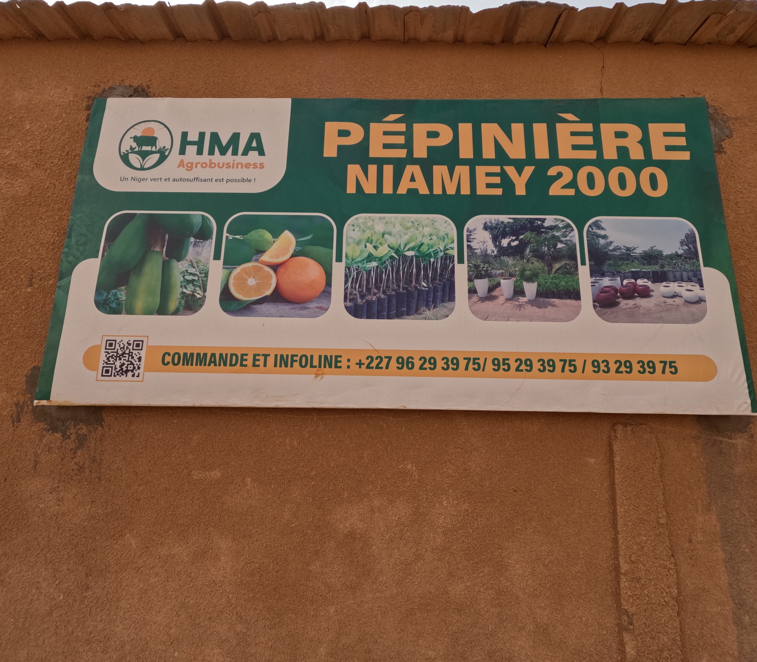 Pepiniere de Niamey 2000