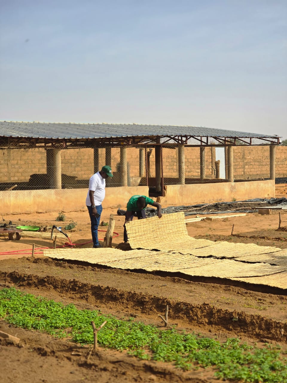 Formation en agrobusiness