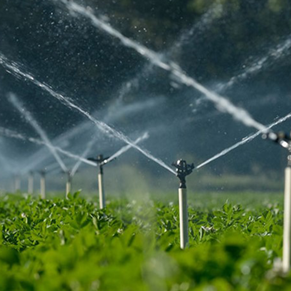 Système d'irrigation agricole