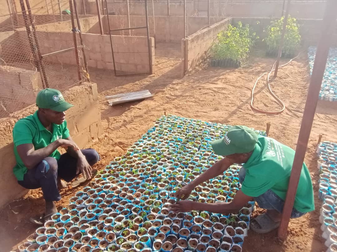 Production végétale et pépinière HMA Agrobusiness