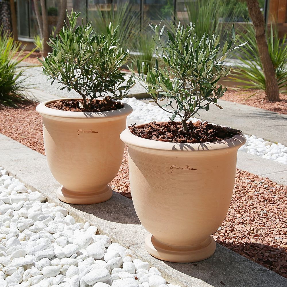 Pots et contenants pour plantes